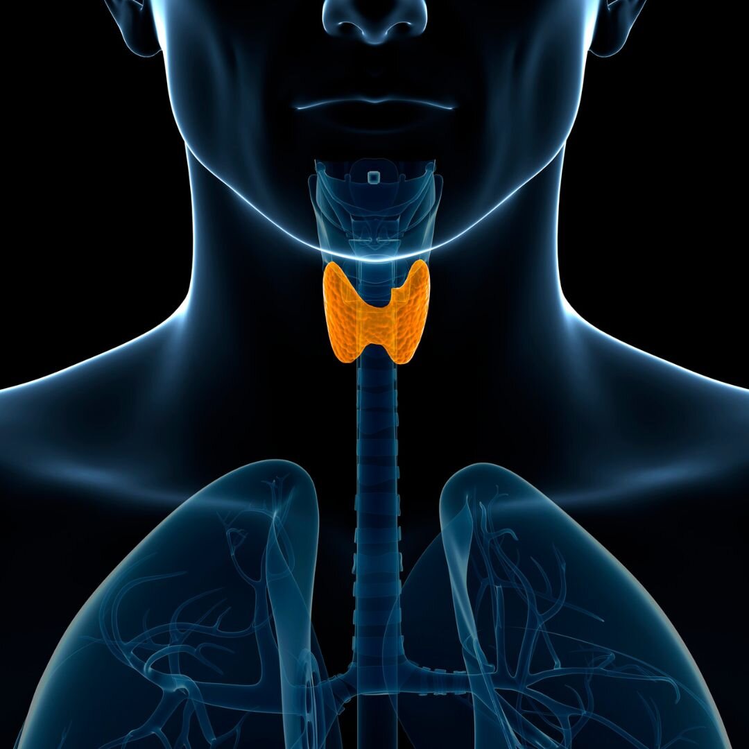 Thyroid Management Diet