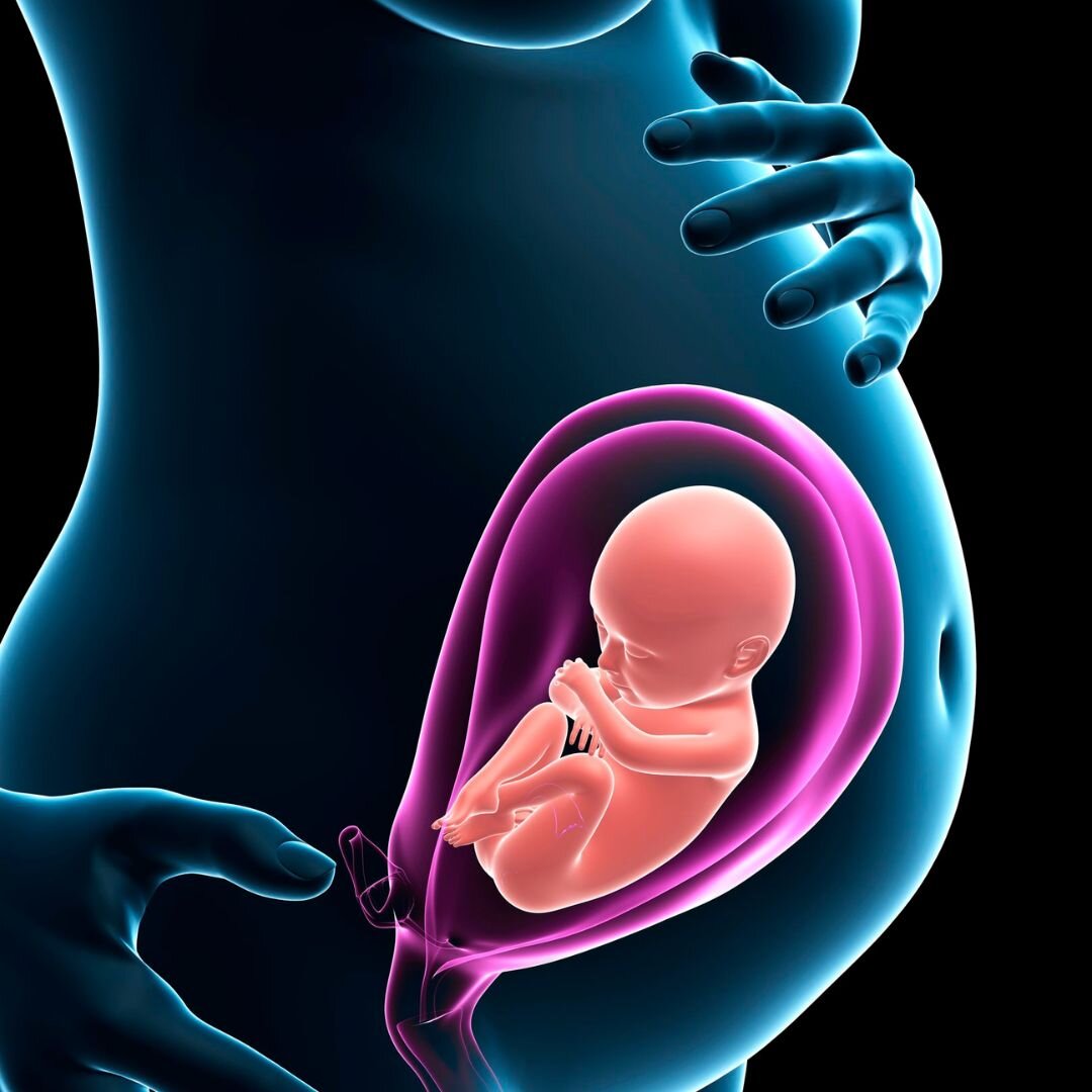 Post & Pre Pregnancy Diet